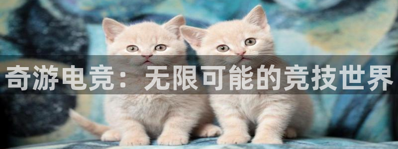 轻轻说打一竞技：奇游电竞：无限可能的竞技世界