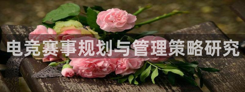 一竞技官网登录入口：电竞赛事规划与管理策略研究