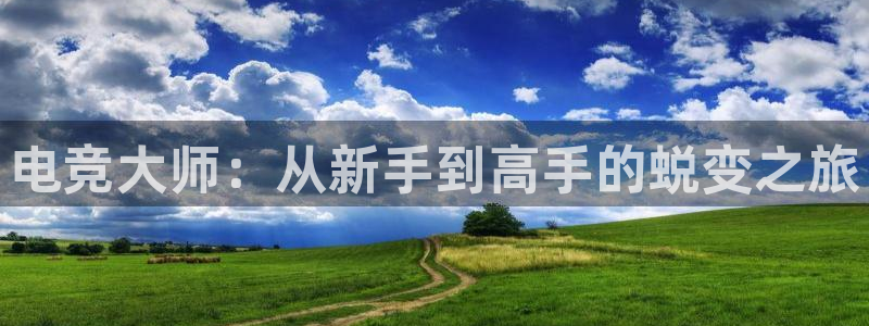 一竞技这个平台怎么样：电竞大师：从新手到高手的蜕变之旅