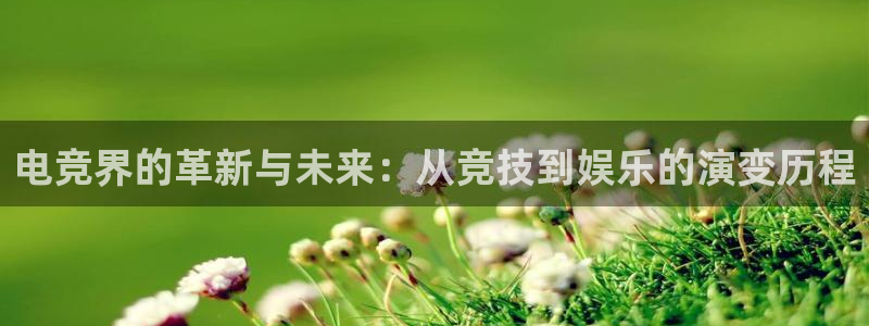 一竞技网址：电竞界的革新与未来：从竞技到娱乐的演变历程
