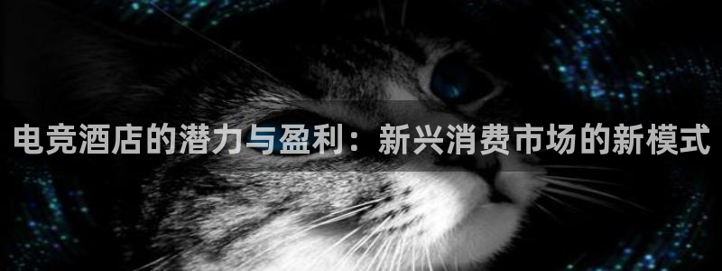 一竞技官方网站入口：电竞酒店的潜力与盈利：新兴消费市场的新模式
