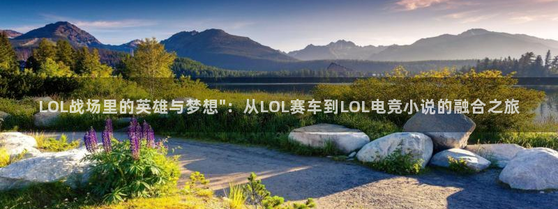 一竞技测速：LOL战场里的英雄与梦想\