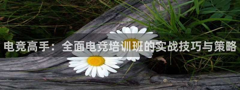 一竞技测速站网址：电竞高手：全面电竞培训班的实战技巧与策略