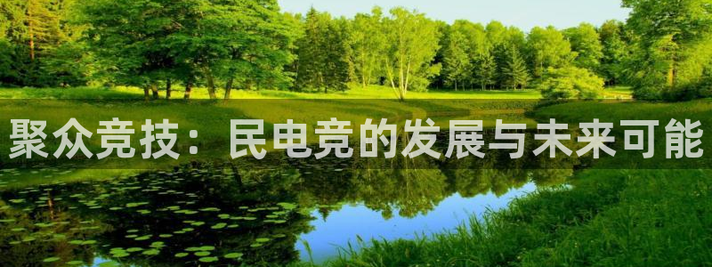一竞技官网下载：聚众竞技：民电竞的发展与未来可能