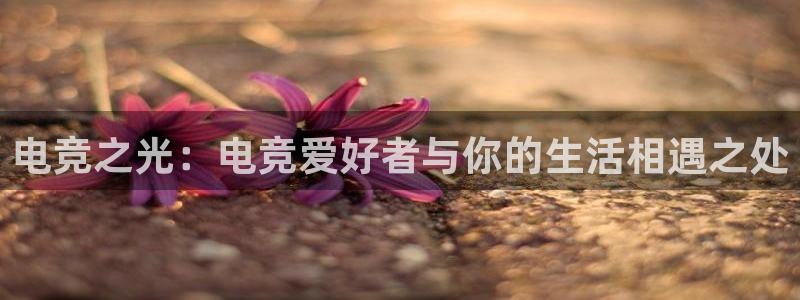 一竞技电竞：电竞之光：电竞爱好者与你的生活相遇之处