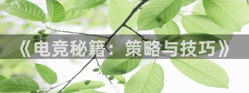 一竞技这个平台怎么样：《电竞秘籍：策略与技巧》