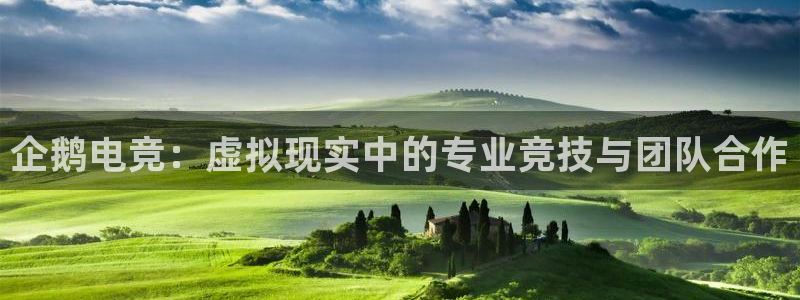 世界第一竞技游戏：企鹅电竞：虚拟现实中的专业竞技与团队合作